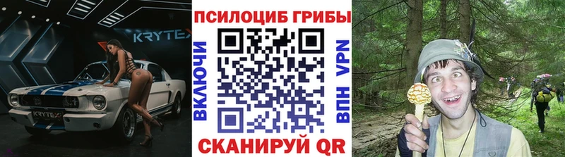Галлюциногенные грибы Cubensis  Козельск 